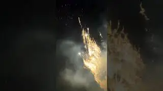 Gold Edition 2550 SR Pyro #fireworks #happynewyear