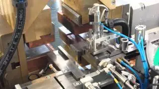 Puntatura a proiezione