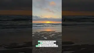 😍Hidden Florida Gem 😍🏝️#travelconcierge #thebonsallvoyage #floridaparadise