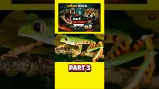 Amazon Jungle ke Sabse khatarnak janvar part 3 #rahasya #facts #amazonwildlife
