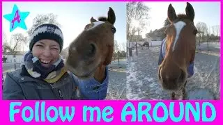 STALL ALLTAG & Roter Teppich I VLOG Wölbchen & Fashion Week Berlin I Follow my DAY