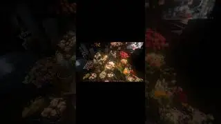flowers...💐 #guitar #music #acousticguitar #flowers #trending #viral