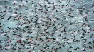 Ironman 2013 в Ницце &mdash; официальный старт &mdash; тысячи пловцов поражают воображение