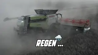 Wir sind im Raps | Update | 🌧️😞 Farming Week