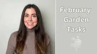 Задачи по уходу за садом в феврале для зоны 6