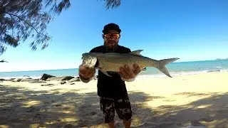 New Spot! Blue Nose Salmon on Lures
