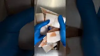Can you freeze Dry wax candy? 🍭
