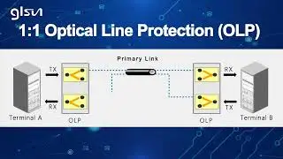 OLP 1:1 Optical Line Protection