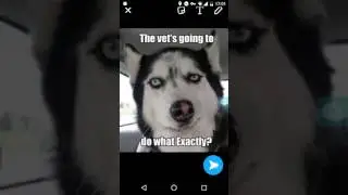 Demonstration of How to send sticker in Snapchat conversation view