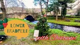 A walk round Lower Bradfield. 19th December 2025.