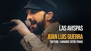 Juan Luis Guerra 440: Las Avispas (Karaoke)