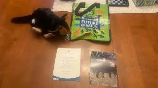 World Wildlife Fund Tasmanian Devil Adoption Kit toy review 
