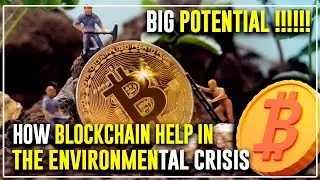 How can Blockchain help in the Environmental Crisis? &ndash; Blockchain & Climate Crisis