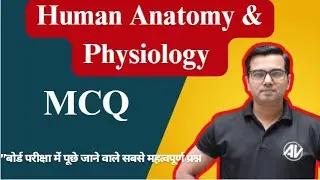 Top Most MCQs on Human Anatomy and Physiology
