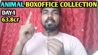 ANIMAL BOX OFFICE DAY 1 RECORDS | RANBIR KAPOOR BIGGEST OPENING EVER