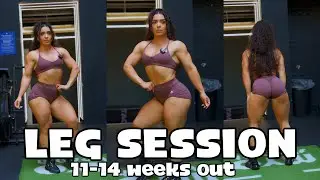 BIG PREP UPDATE I IFBB WELLNESS PRO LEG DAY | Road to Olympia 2024