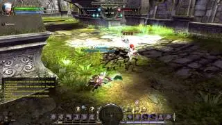 Dragon Nest pvp: Seleana (Eiyra) vs Flurry (FruitCupJr)