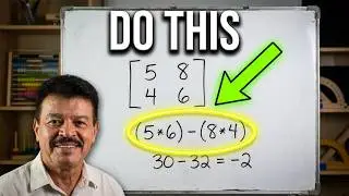 MATRIX THEORY MADE EASY EXAMPLES AND REAL WORD PROBLEMS | COLLEGE ALGEBRA