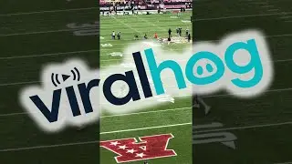 Dog Runs Around Cleveland Stadium || ViralHog