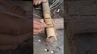 bamboo fire saw #firemaking #bushcraft #creativesurvival #survival