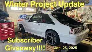The Fox Life - Winter Project Update (Subscriber Milestone & Giveaway)