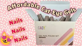 Amazon | AFFORDABLE| Gel Cat-Eye Polish!!
