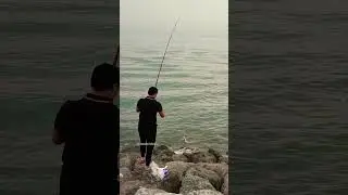 Fishing in sea side. #kuwait #reels #viral #shorts