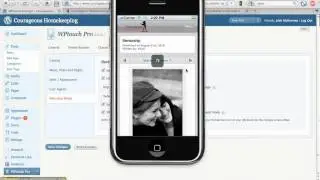 WP Touch Pro Review