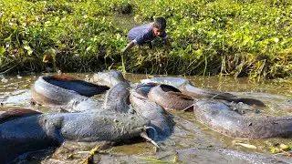 Top 10 Hand Fishing. A Asian Village Boy Catching Big Fish In River