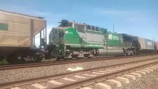 Locomotiva Da Fibria 🚂💚