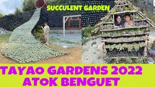 TAYAO GARDEN || free walk tour during visit + Tourist Spot