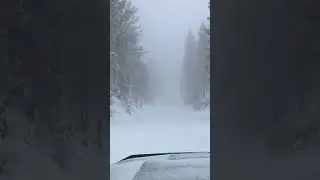 Snow run