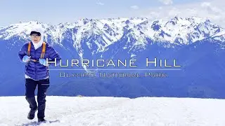 Hurricane Hill Day Hike via Hurricane Ridge Rd at Olympic National Park - 4K
