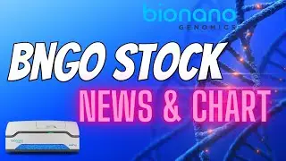 Bngo Stock News & The Start Of The Next Market Cycle