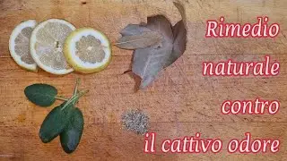 Come profumare la casa con un rimedio naturale | MAMMASTYLE.IT |
