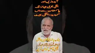 Mubashir Afsancha  Jang ||Mubashir Ali zaidi