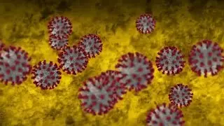Researchers find that coronavirus can survive 28 days on currency, glass and stainless steel in ...