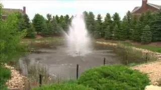 Moving to Woodbury MN by Durham Executive Group - Top Selling Woodbury MN Real Estate Agents