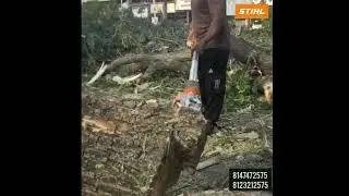 STIHL HT 75 POLE PRUNER