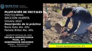 Plantaci&oacute;n de Corintos Grosellas y Casis Secci&oacute;n Huerta Escuela Agropecuaria Gregores Octubre 2022