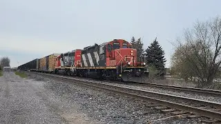 Zebra GP9 Lead! CN L551 - 4131W at Mainway - May 03, 2025