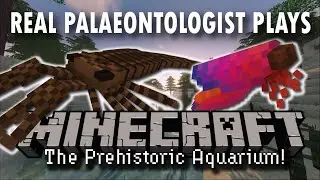 Prehistoric Aquarium - Giant Sea Scorpions, Aegirocassis and Early Spiders