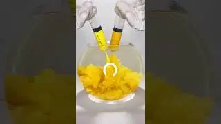 Lemon Yellow + Yellow Ochre = ? #colour #viral #trending #experiment #art #yellow