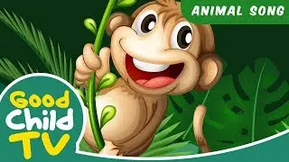 Kids Song - Swing Like A Monkey | Animal Songs