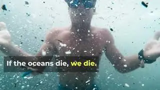 Can you imagine SWIMMING in PLASTIC?!
