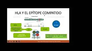 Artritis Reumatoide Fisiopatología