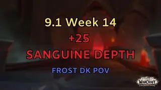 [9.1] Week 14 | +25 Sanguine Depth | Frost DK POV
