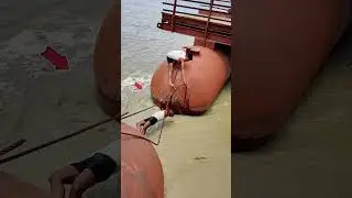Ye prayagraj hai #mahakumbh2025 #kumbh #youtubeshorts #abhay