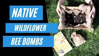 Wildflower Bee Bombs Product Review | Life Before Plastic