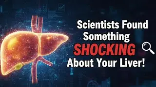 The Liver Can Regrow Itself &mdash; Truth or Myth? Body Secret Lab